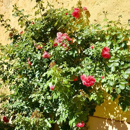 Il Portichetto Hotel 3*