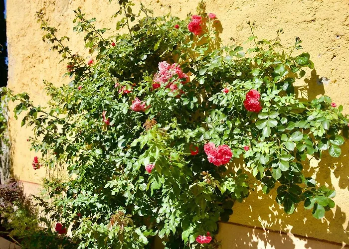 Diffuso Il Portichetto Sulla Collina A Vezio Ξενοδοχείο 3*